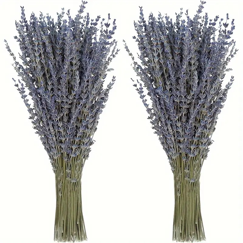 200pcs/Bunch Lavender Dried Fl - Dried Flower Bunch 리뷰 및 가격