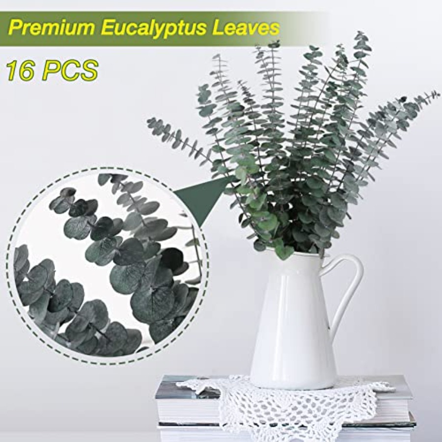 16 Pcs Preserved-Dried-Eucalyp - Dried Flower Bunch 리뷰 및 가격