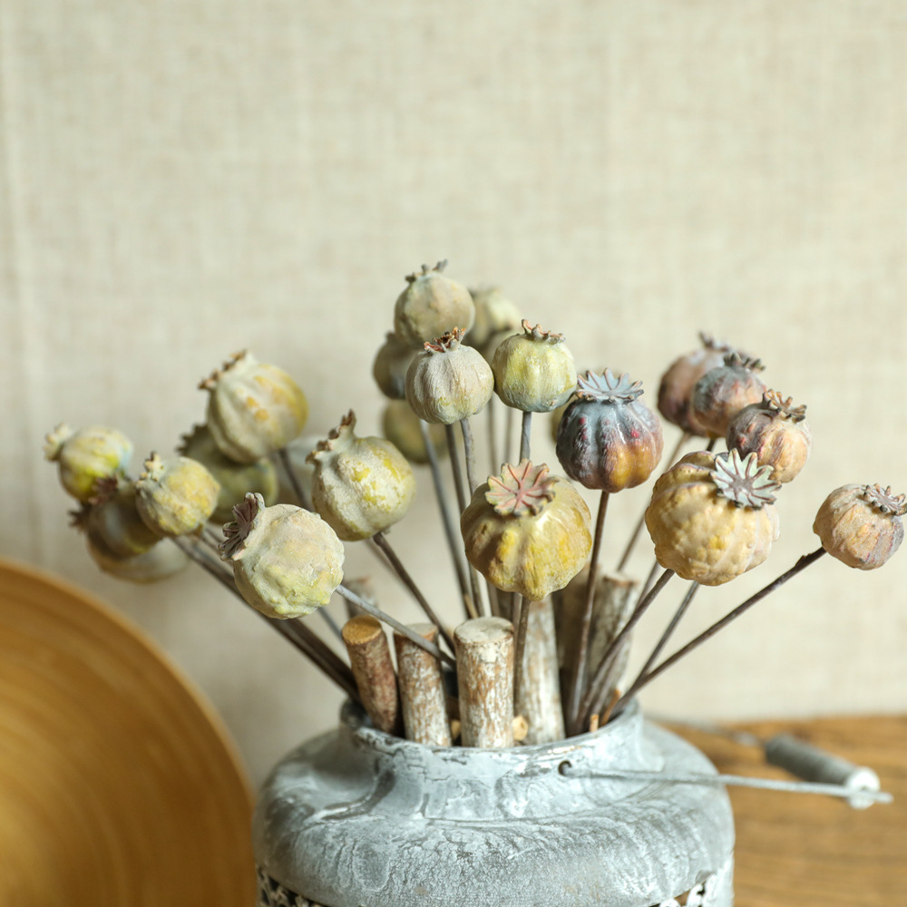 6Heads Poppies Fruit Dried Flo - Dried Flower Bunch 리뷰 및 가격