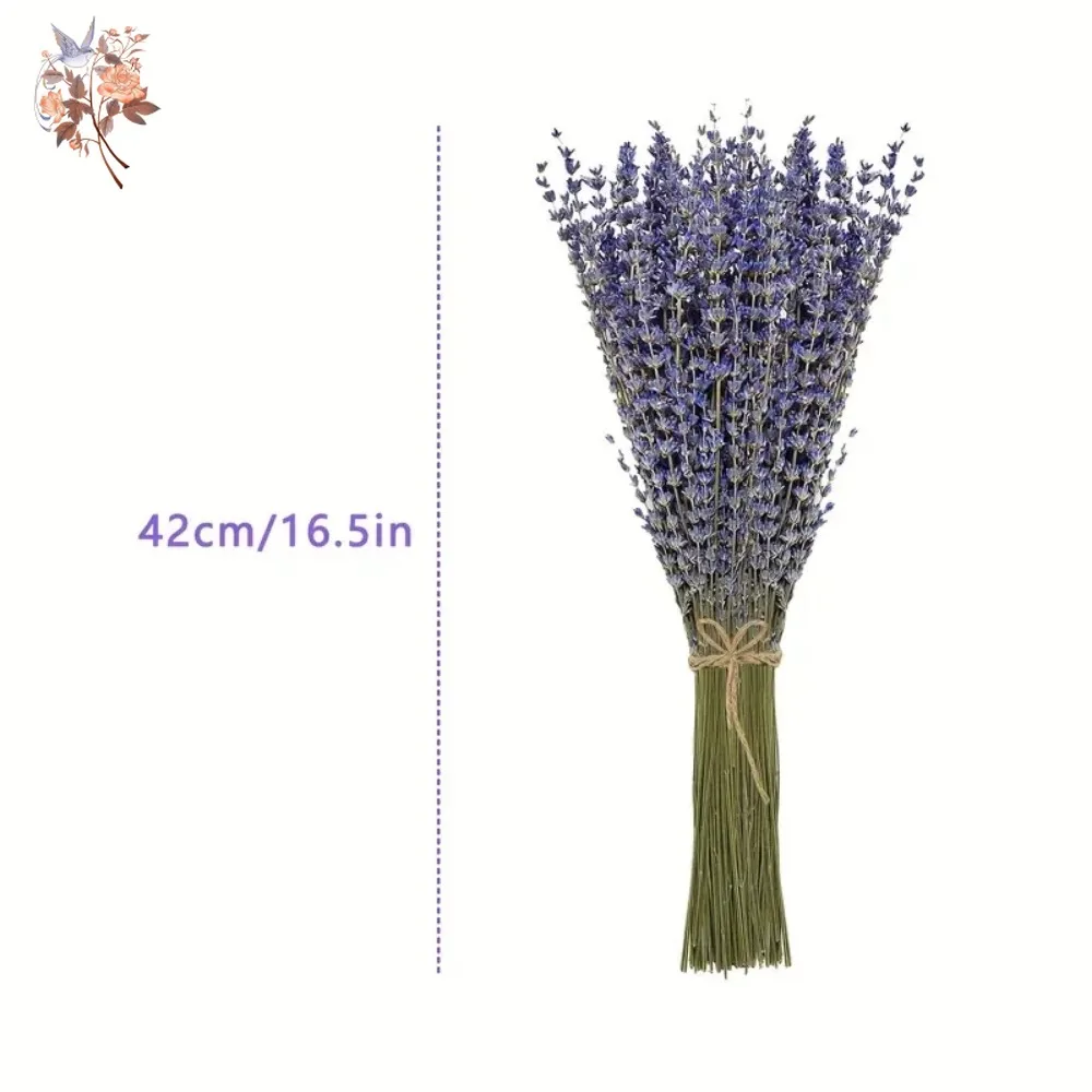 50g Natural Dried Lavender Bou - Dried Flower Bunch 리뷰 및 가격