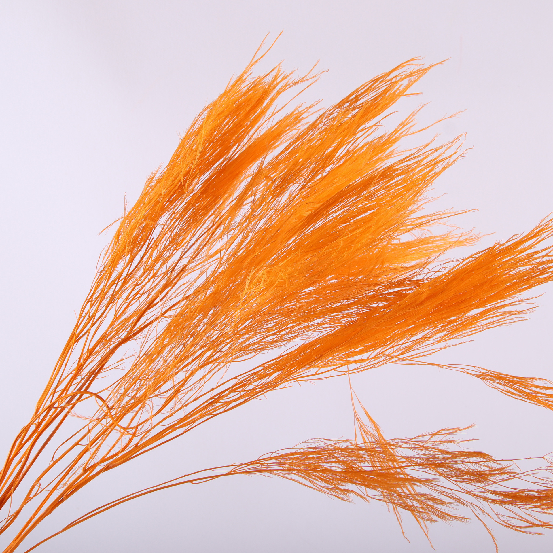 10pcs/bunch Dried Flower Bouqu - Dried Flower Bunch 리뷰 및 가격